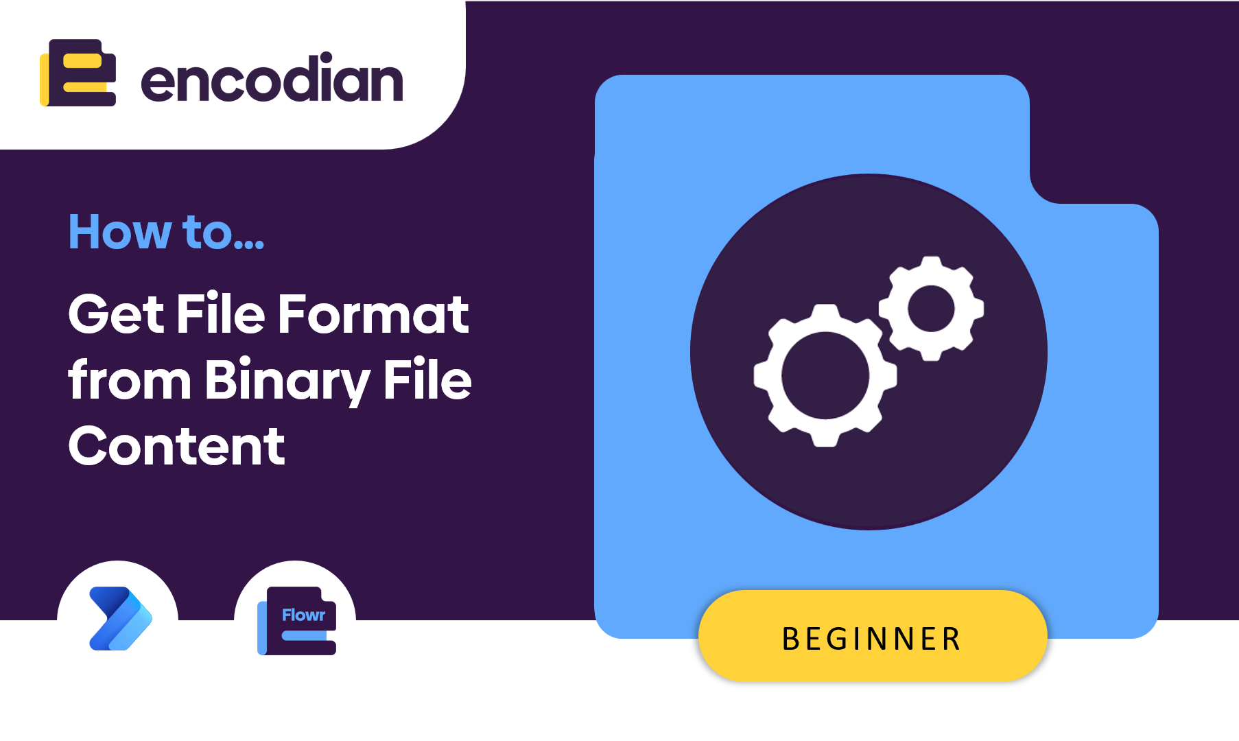 Expample Png How to Determine File Format from File Content in Power Automate — Encodian